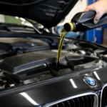 Engine oil exchange cost BMW
