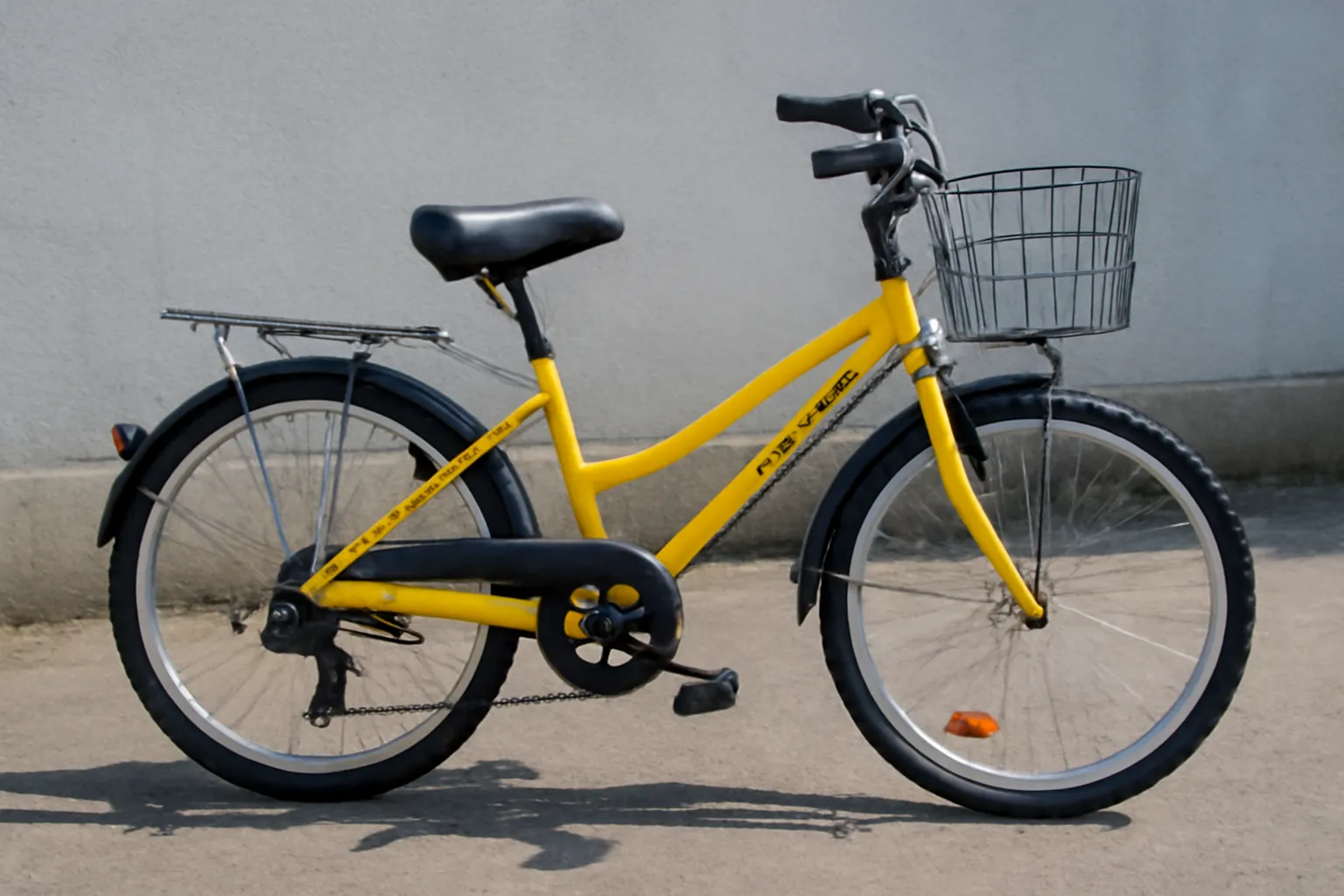 Samchully Elementary School Bicycle 22 inches