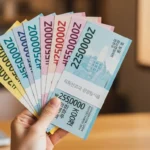 소비쿠폰 25만원