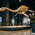 플레시오사우루스