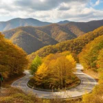 평안남도 청남구 신리 북문고개