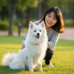 제페니스 스피츠