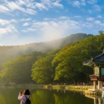 제천 의림지와 제림