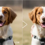 브리타니 스파니엘