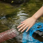 물의 상태 변화