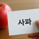 시니피앙, 시니피에